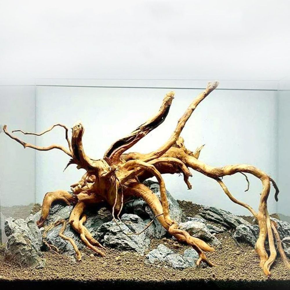 Aquarium Marine Rock - Natural Tree Trunk Aquarium Decoration Wood