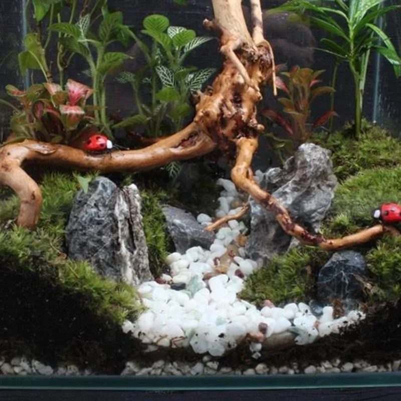 Natural Tree Trunk Driftwood A - Aquarium Marine Rock 评论和价格