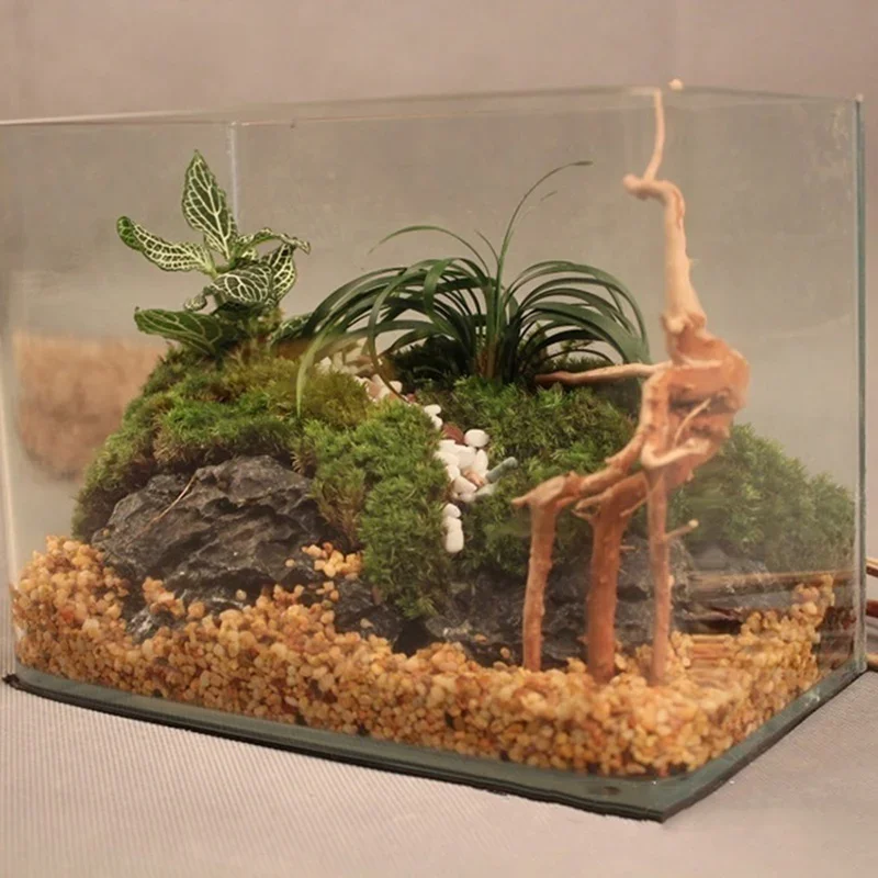 Natural Tree Trunk Driftwood A - Aquarium Marine Rock 评论和价格