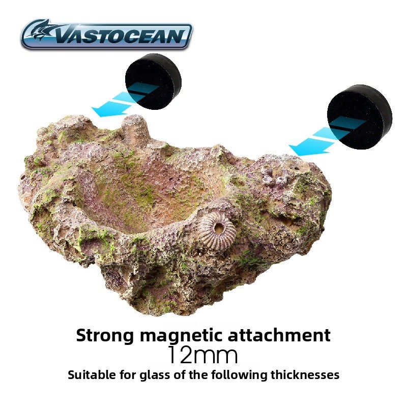 VASTOCEAN Magnetic Anemone Hol - Aquarium Marine Rock 评论和价格