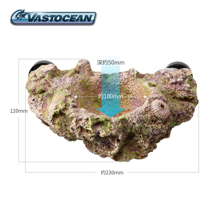 VASTOCEAN Magnetic Anemone Hol - Aquarium Marine Rock 评论和价格