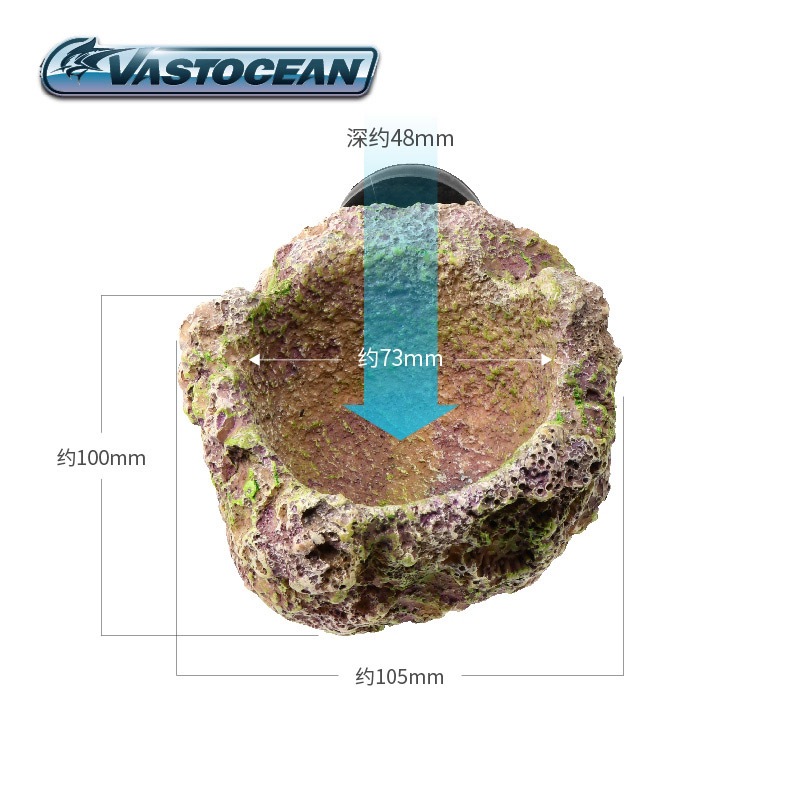 VASTOCEAN Magnetic Anemone Hol - Aquarium Marine Rock 评论和价格