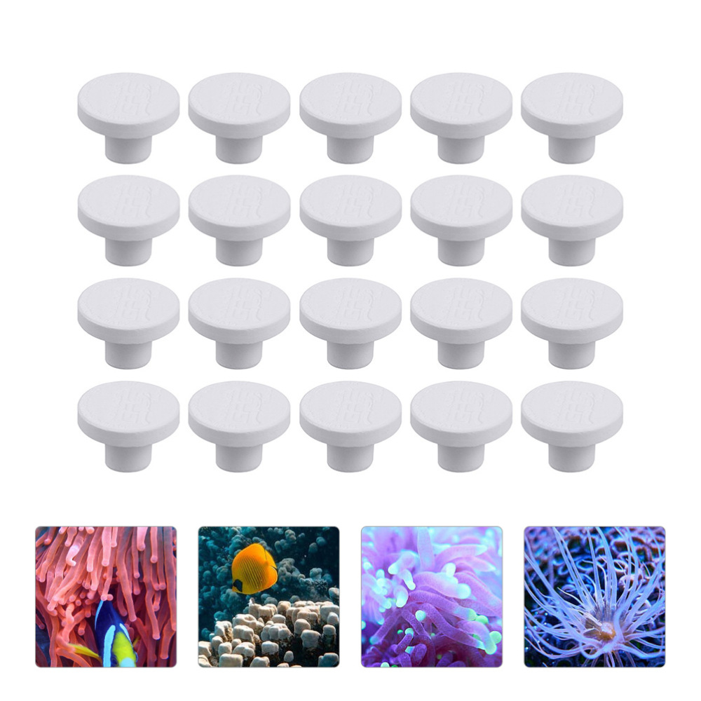 SPS Ceramic Coral Frag Plugs B - Aquarium Marine Rock 评论和价格