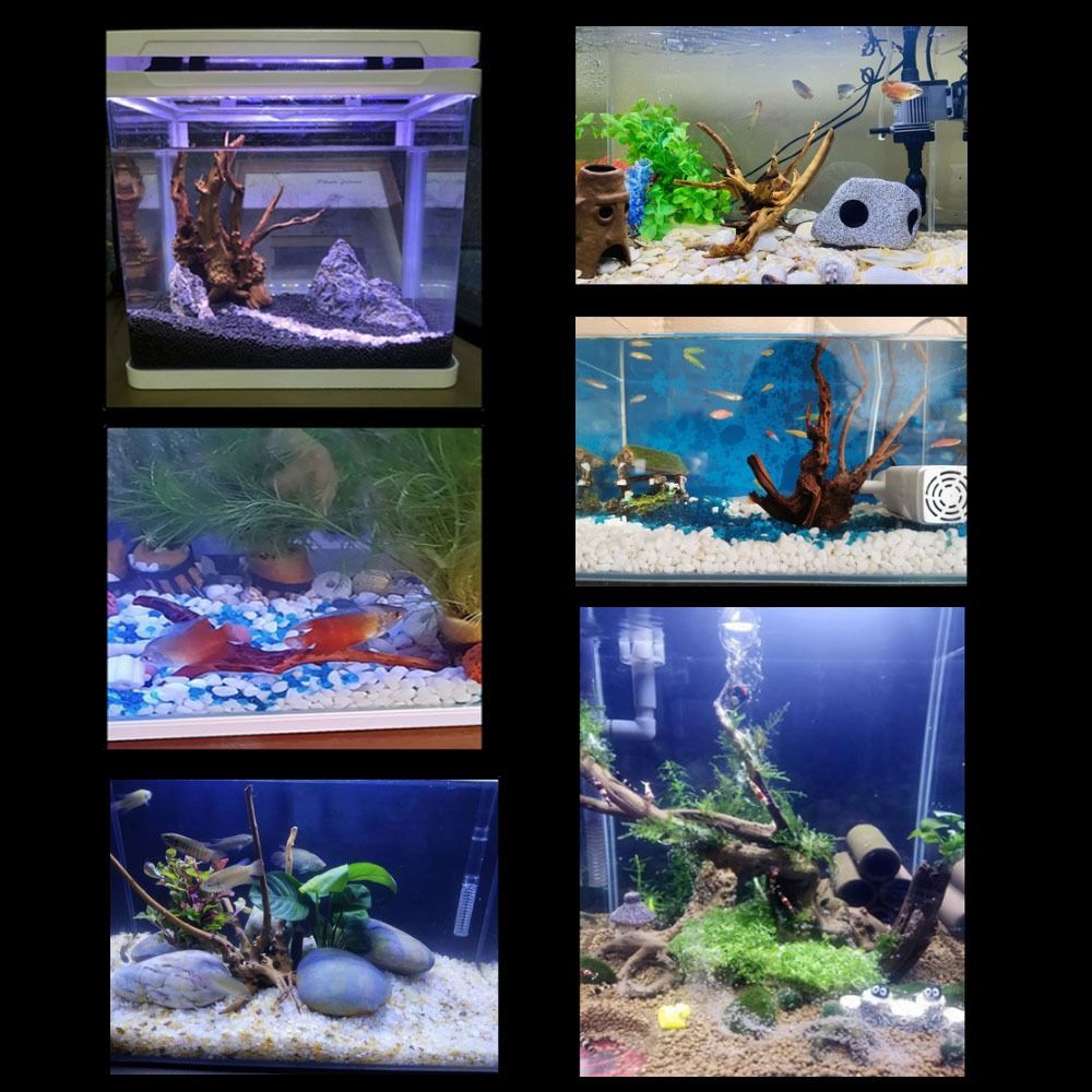 Natural Tree Trunk Aquarium De - Aquarium Marine Rock 评论和价格