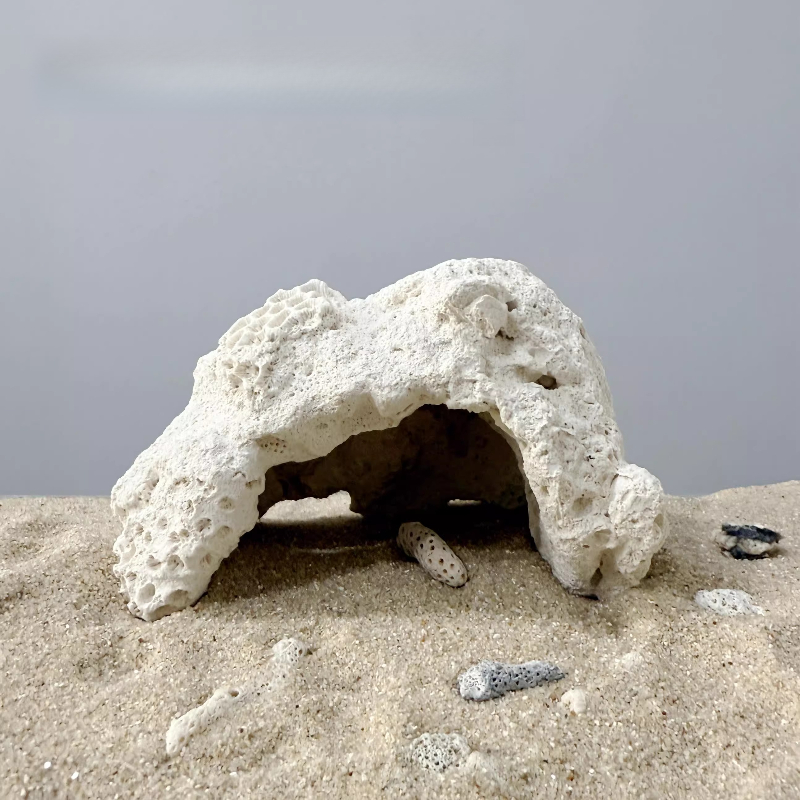 Fish Tank Character Shaped Sto - Aquarium Marine Rock 评论和价格