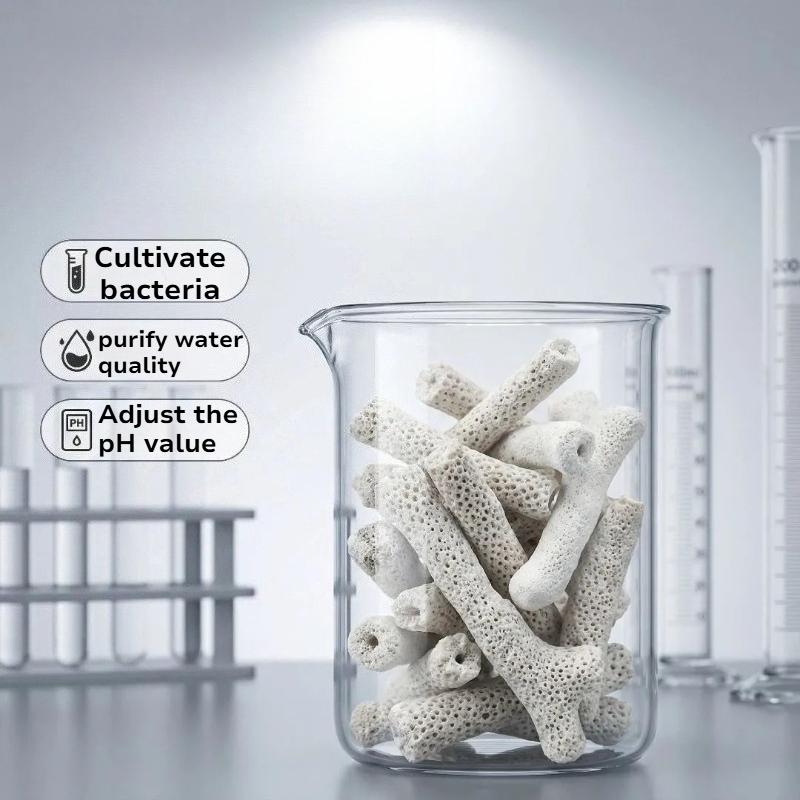 Natural Coral Bone Filter Medi - Calcium Reactor Media 评论和价格
