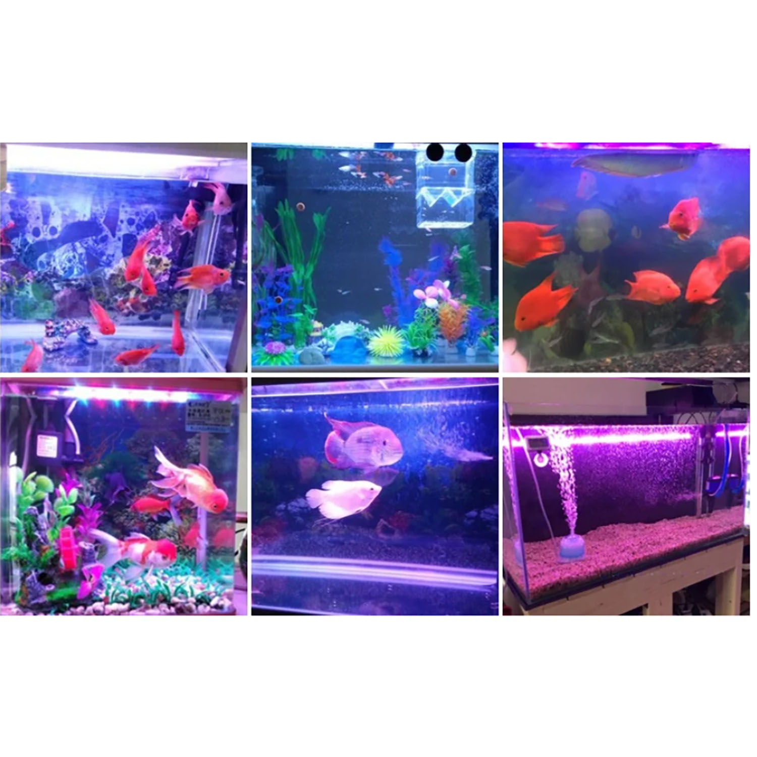 50W 60W 70W 100W RGB 26-28V Hi - Marine Aquarium Uv Light 评论和价格