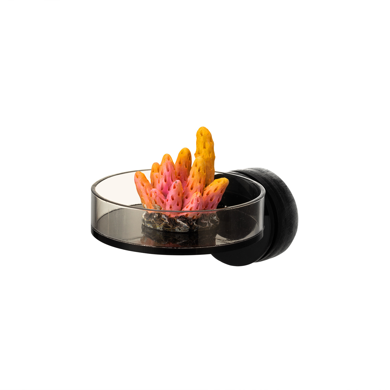 Marine Sources 70mm Black Magn - Aquarium Marine 评论和价格