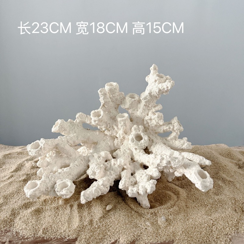 Ceramic Sea Anemone Breeding C - Aquarium Marine Rock 评论和价格