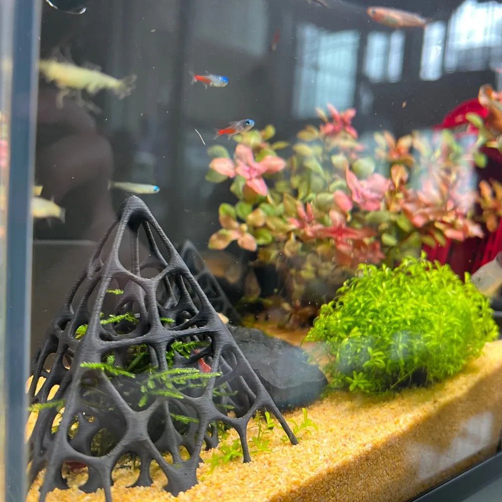 3D Printed Pyramid Fish & Shri - Aquarium Marine Rock 评论和价格