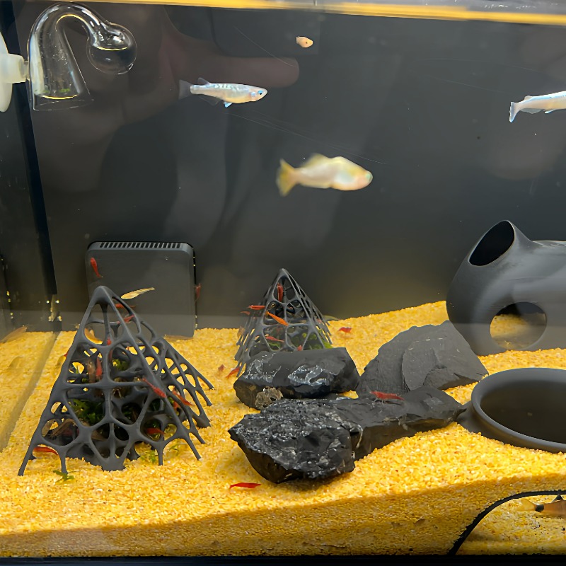 3D Printed Pyramid Fish & Shri - Aquarium Marine Rock 评论和价格