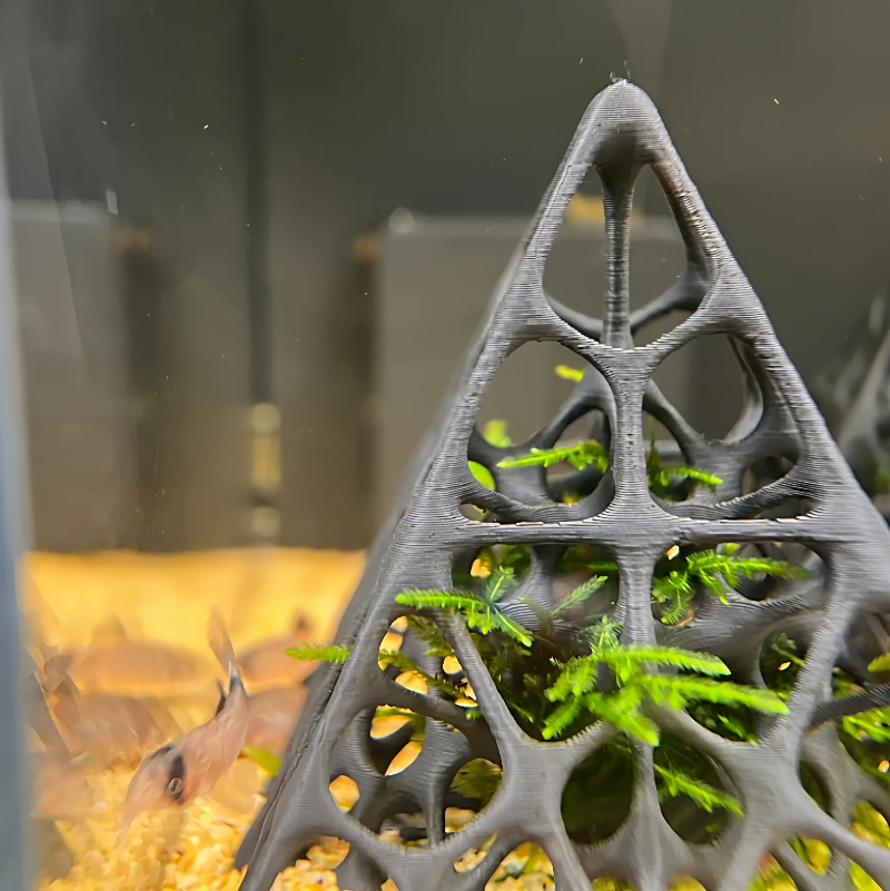 3D Printed Pyramid Fish & Shri - Aquarium Marine Rock 评论和价格